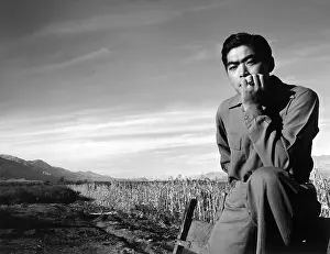 Kobayashi: World War II, Tom Kobayashi, Landscape, ?