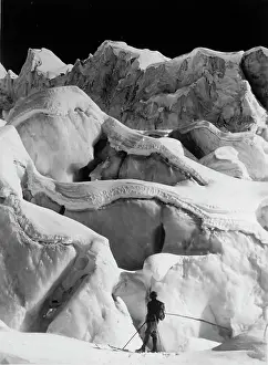 Marvellous: Worlds of snow