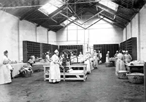 Wormwood: Wormwood Scrubs 1895
