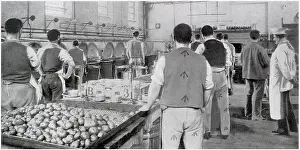 Potato: Wormwood Scrubs Prison 1907
