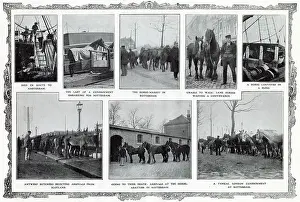 Conveyed: Where Worn-Out Horses Went 1909