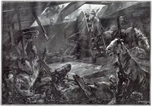 Conveyed: Where Worn-Out Horses Went 1909