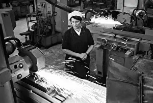 Folding: Worsma Plant