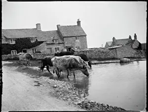 Waterscape: WORTH MATRAVERS, PURBECK, DORSET