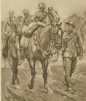 Chum: Wounded Chum - World War One horses