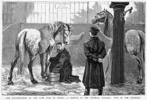 Terrorists: WOUNDED HORSES