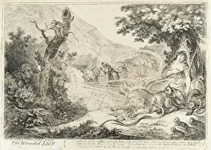 Castle Howard Collection: The Wounded Lion