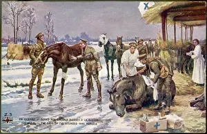Improvised: WOUNDED WAR-HORSES