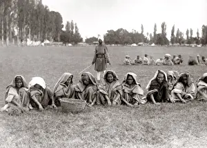 Overseer: Wpomen labourers pulling weeds by hand, India