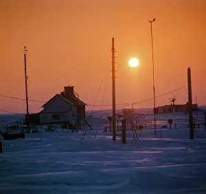 Nadezhdin: On Wrangel Island, 1974