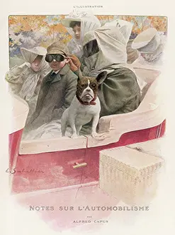 Veils: WRAPPED FOR THE DRIVE