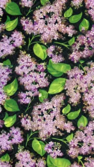 Lilacs: Wrapping Paper Sample Design