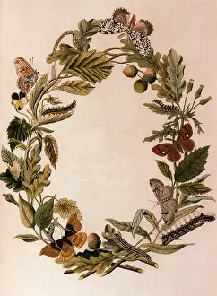 Proceeding: Wreath with Insects
