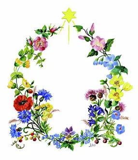 Convolvulus: A wreath of wild flowers, with star