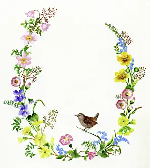 Buttercups: Wreath of Wild Flowers and a Wren