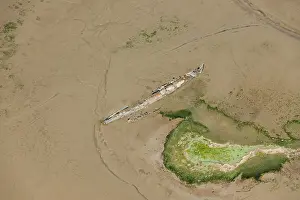 Embedded: Wrecks at Stoke Saltings