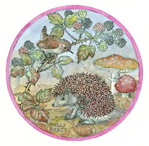 Bramble: Wren on bramble, hedgehog and toadstools