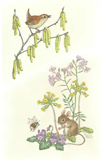 Cowslips: Wren on branch with catkins, mouse and bee