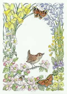 Medici Society (molly Brett): Wren and two butterflies, with spring flowers