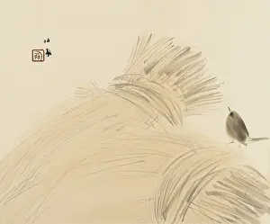 Stook: Wren on corn stook