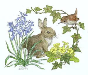 Medici Society (molly Brett): Wren on ivy looking at a rabbit ' with flowers