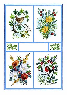 Jessamine: Wren and ivy, Robin and holly