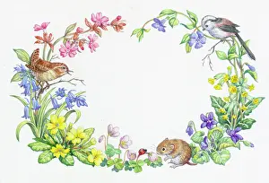Cowslips: Wren, Longtailed tit and vole with spring flowers