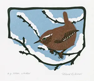 Perch: Wren - Winter (2/2)