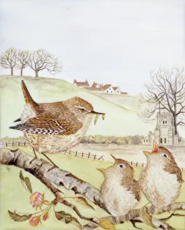 Wrens: Three Wrens