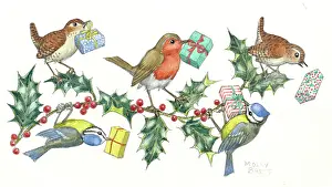 Sprig: Wrens, blue tits and robin holding presents
