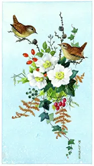 Wrens: Two Wrens with a spray of Christmas roses