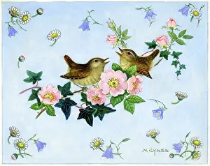Wrens: Two wrens with wild roses, harebells and daisies