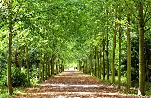 Wrest: Wrest Park Gardens