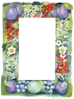 Plums: Writing Paper Border with Fruit and Flowers