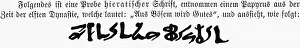 Egyptology: writing, stripture, ancient world, Egypt, hieratic