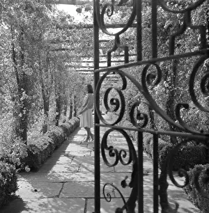 Colin Sherborne Collection: Wrought iron gate in a garden