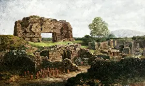 Wroxeter: Wroxeter Roman City