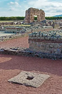 Wroxeter: Wroxeter Roman City