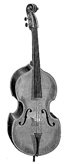Wurlitzer: Wurlitzer Double Bass
