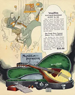 Wurlitzer: WURLITZER MANDOLIN