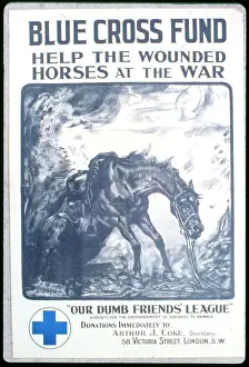 Dumb: WW1 - advertisement for Blue Cross Fund