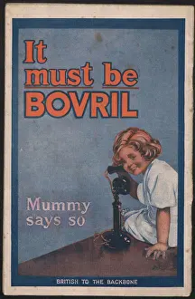 Diary: WW1 - Bovril, Handy-Book & Diary of the War, back cover