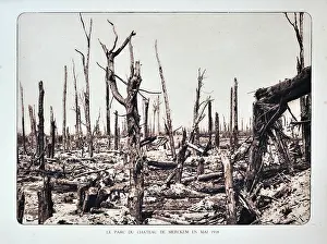 Merkem: WW1 - Broken trees after bombardment
