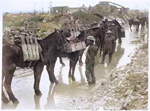 Get This Story Ltd: WW1 Devastation in Colour