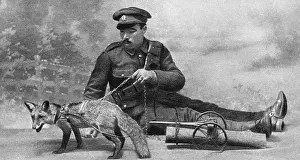 Mascot: WW1 mascot: a fox in a harness