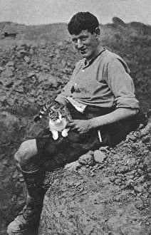 Mascots: WW1 mascots: a trench cat