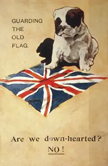 Downhearted: WW1 POSTCARD BULLDOG