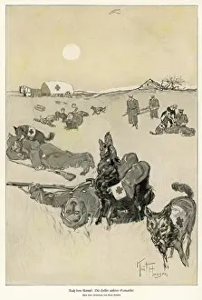 Retrieval: WW1/RED CROSS DOGS