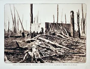 Merkem: WW1 - Soldiers standing next to bunker in bombarded forest