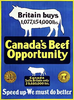 Declaration: WW1 statistics mentioning the volume of beef that
